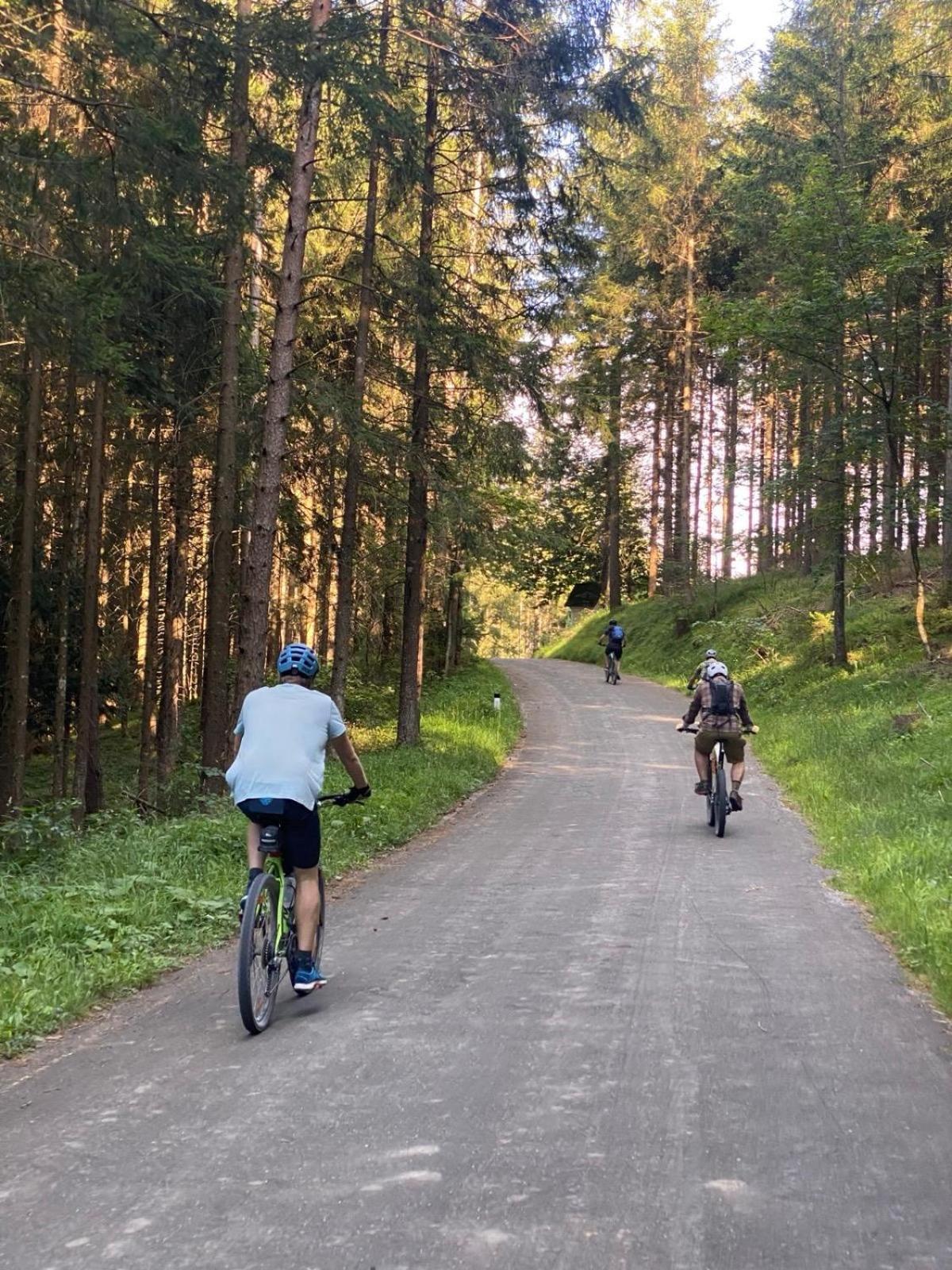 Ausseerland Apartments - Relax, Ski, Hike And Bike, Garden, Parking, Bbq, Near Hallstatt, Loser, Tauplitz And Krippenstein, Free Wi-Fi And Netflix Бад Аусзее Экстерьер фото